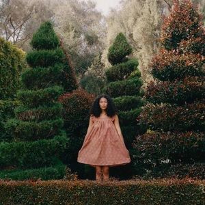 NWT Christy Dawn Bennett Dress Mauve Sunflower